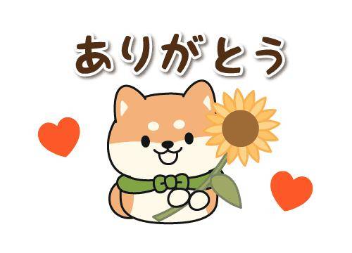 ?禁断の恋、秘密のメッセージ?