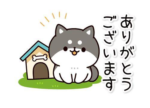 ?ドキドキの告白?