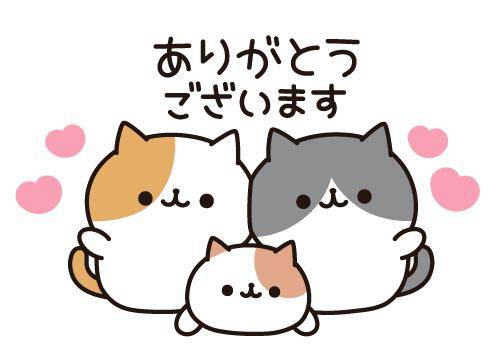 ?ドキドキが止まらない?