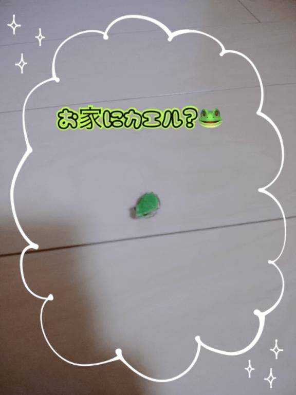 メンテナンス中ではありますが