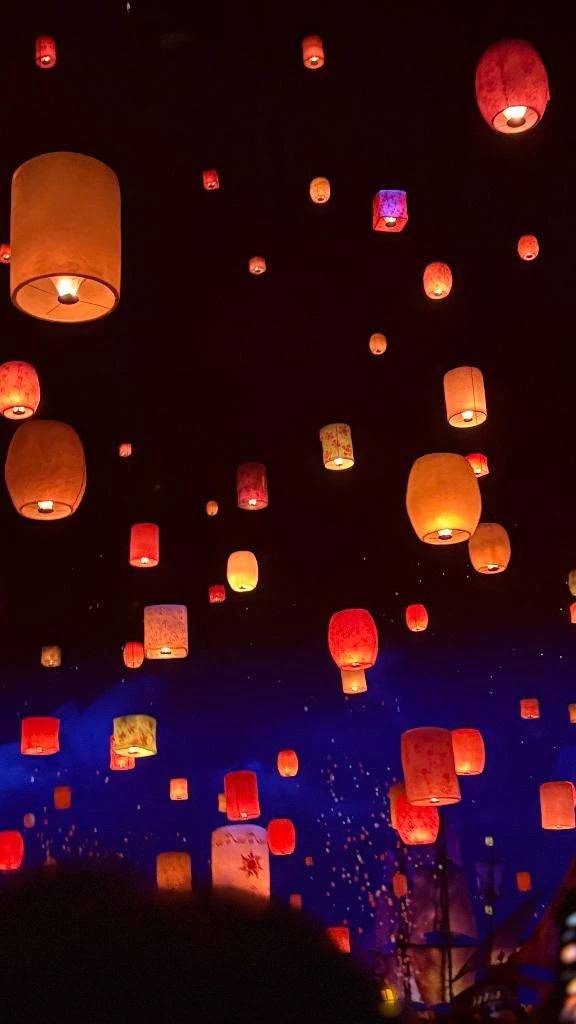 夢の国に一人で行って「まりちゃんすご！」と言われたい（言わせたい）
