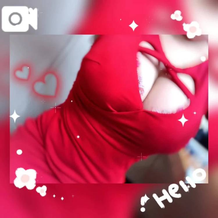 明日までです!