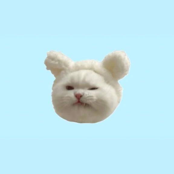9月1日🌟本指名のお兄様🌟