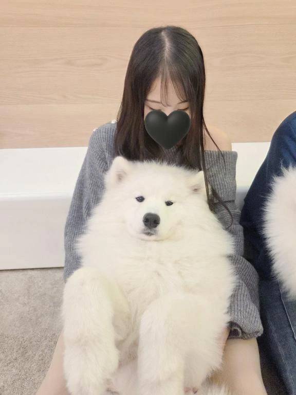 ななか（ぐらどるえっぐ）