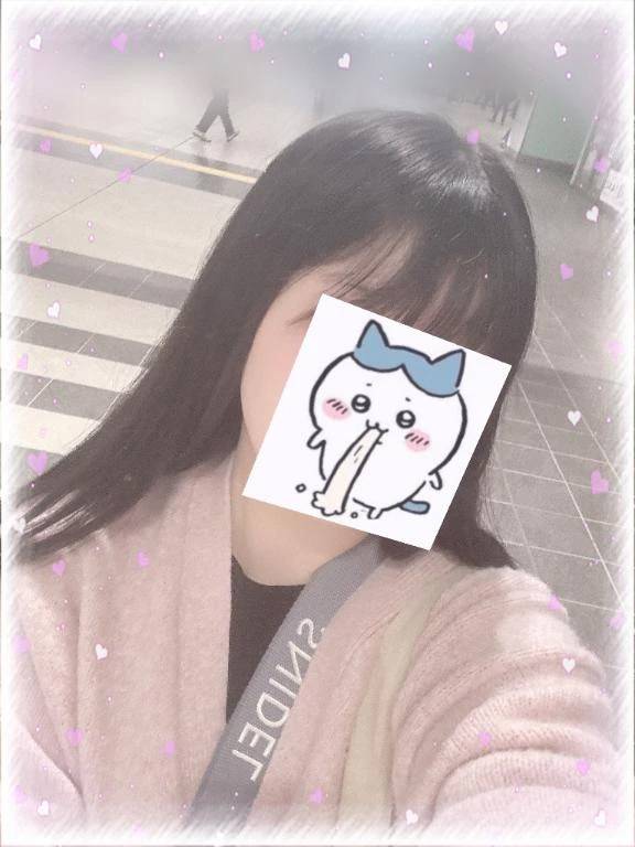 夏系の曲がすき🍉