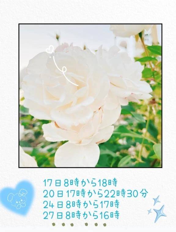 2月後半の出勤予定です！