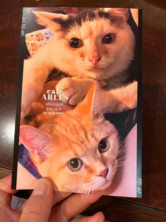 🎀🤍なゆ的コース紹介🎀🤍