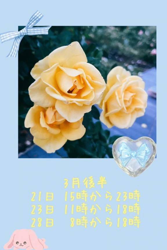 3月後半‪🫶🏻︎♡ ̖́-