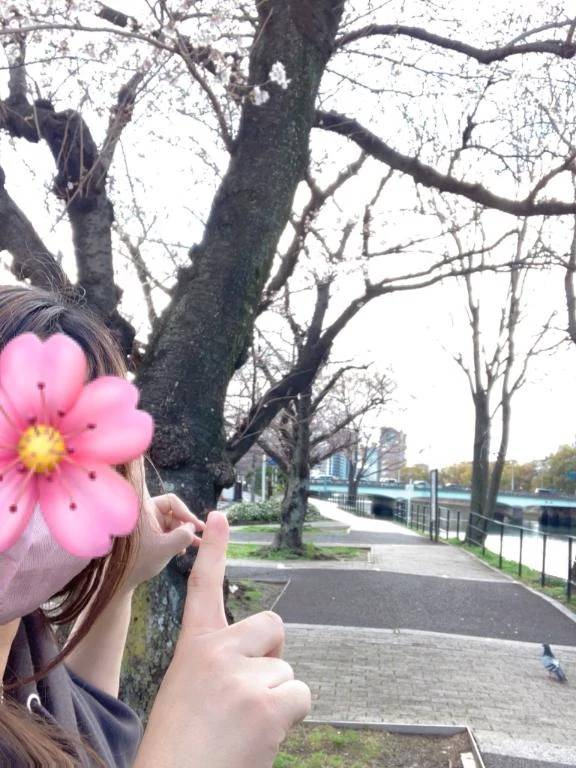 やって来た🌸