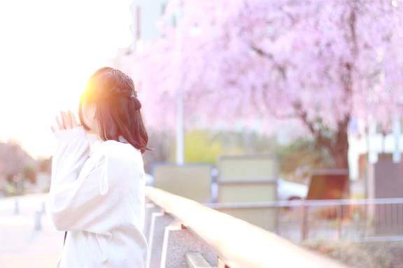 お花見シーズン🌸