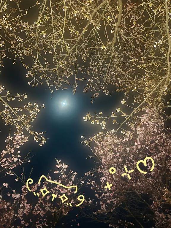 じかい‪👊🏻ʚ̴̶̷̆_ʚ̴̶̷̆