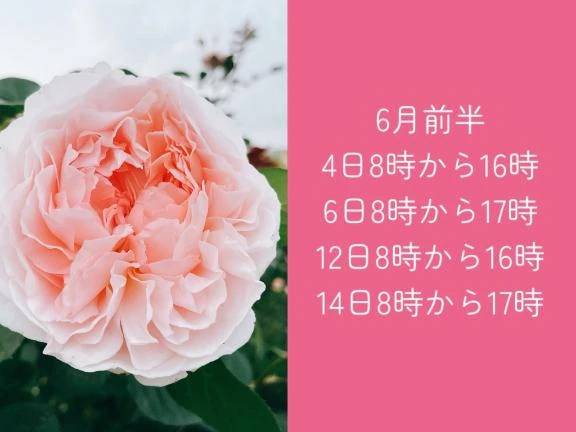 こんにちは🥰