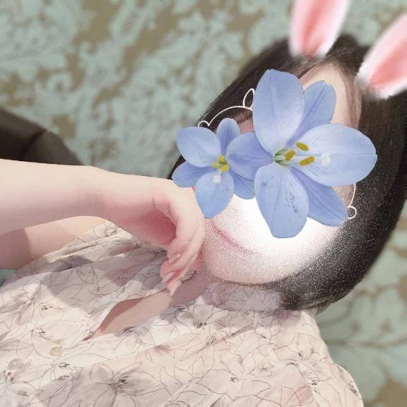 残りすくないけど🐰🥕🤍