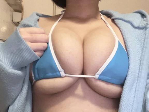 今日は