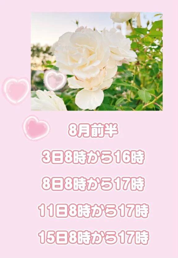 こんにちは😊