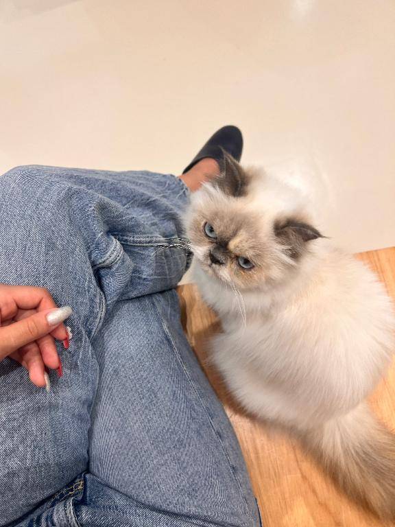 [お題]from:たのんでみる！さん