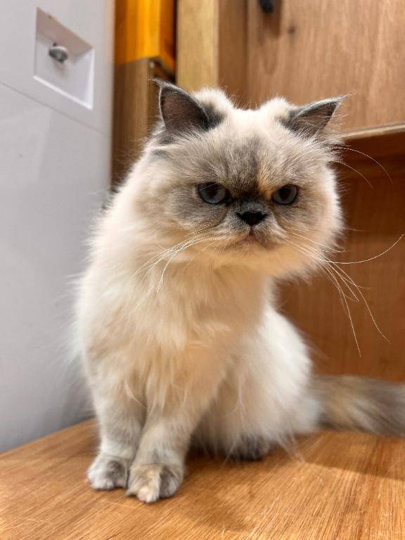 2日連続で来てくれたお兄様へ(˙-˙)