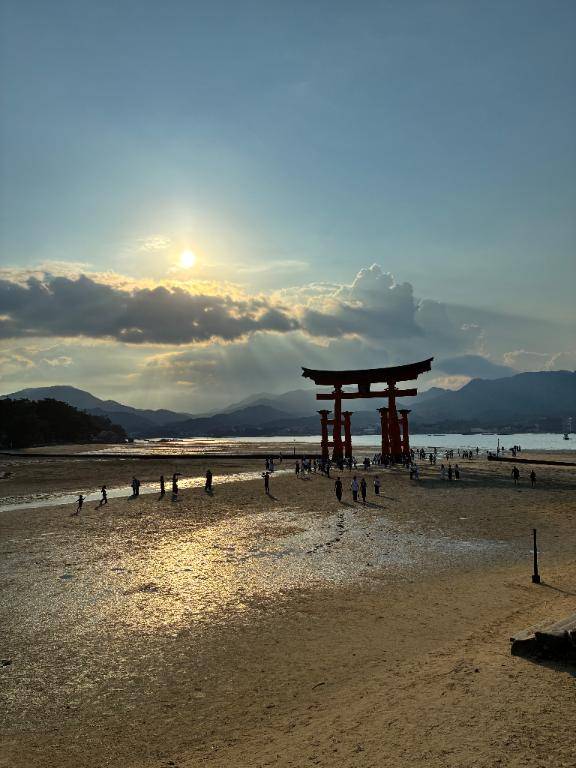 明日は11時から❣️