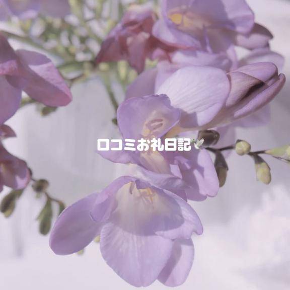 お礼写メ日記🕊️