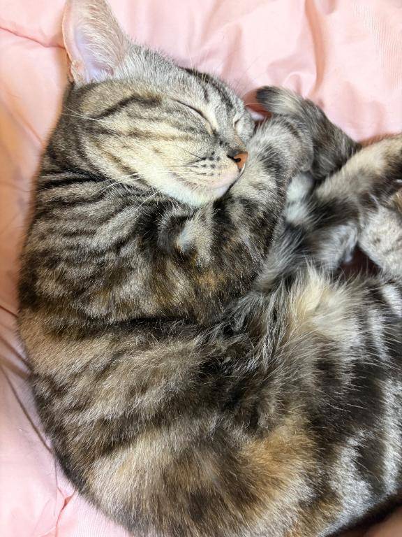 本指に呼ばれました💞