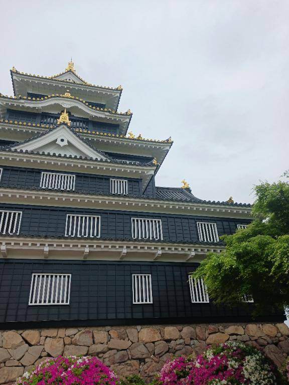 ごめんなさい🙇