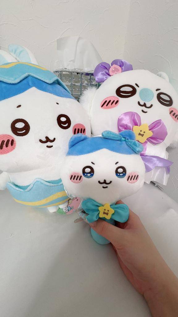 今日から＞ᴗ＜