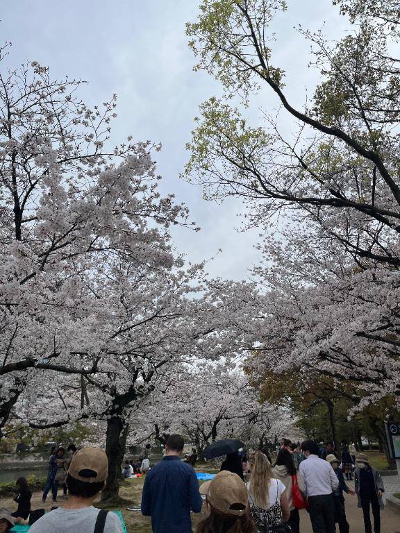 口コミ🙂‍↕️