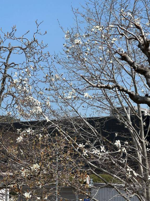 思わずパシャリ📷