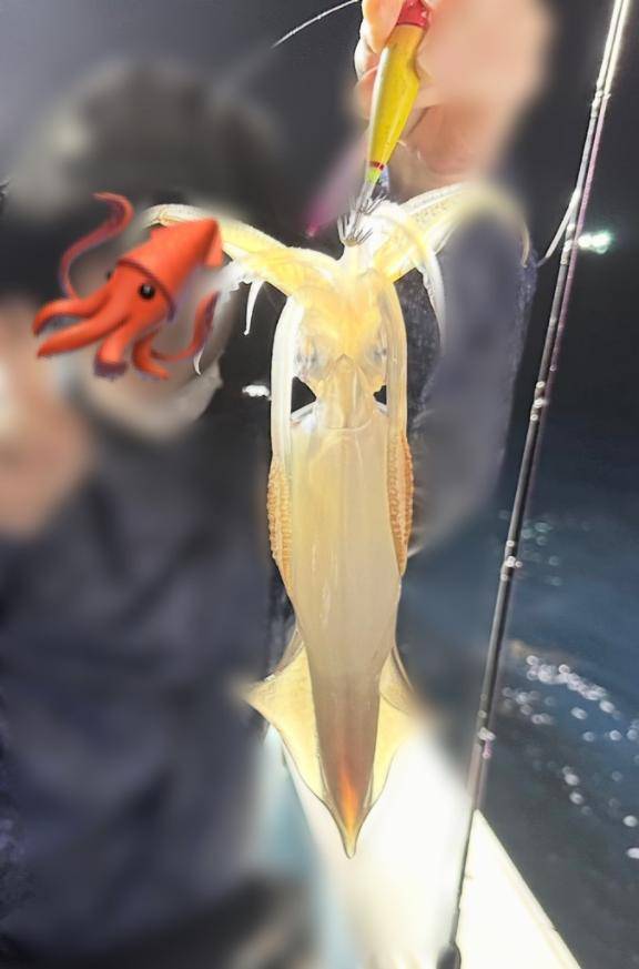 5月の日曜日は…？🦑