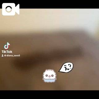 平日も絶好潮🐋❕❕