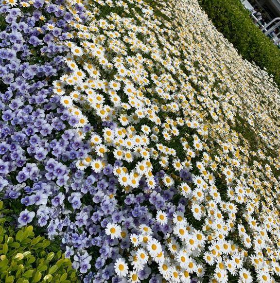 本日ご来店予定のお兄様へ☺️✨