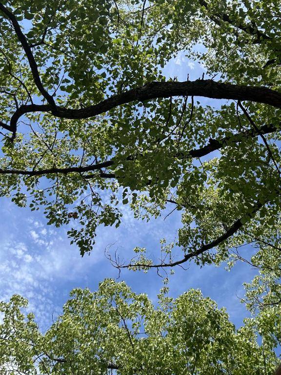 夏始まった感…☀️