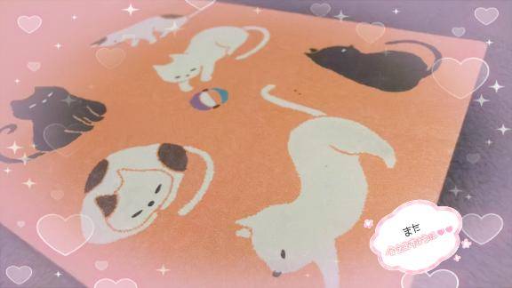 ずーーっと心の中にᐢᴗ͈ ᴗ͈ᐢ♡