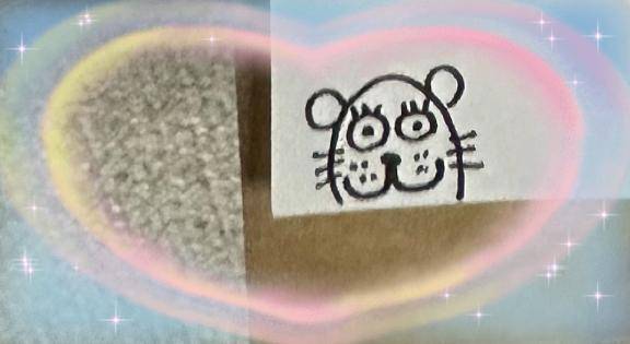 今日も一日ありがとうございました🥰