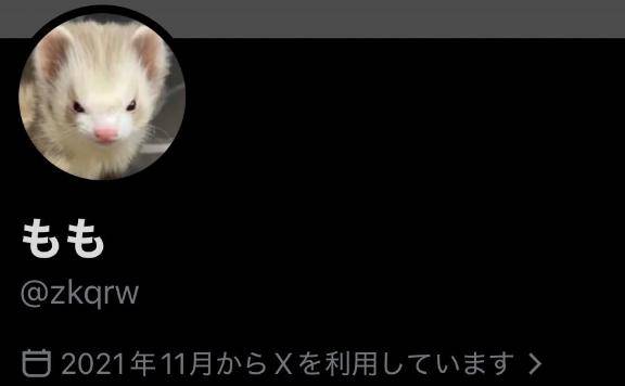 (´･_･`)