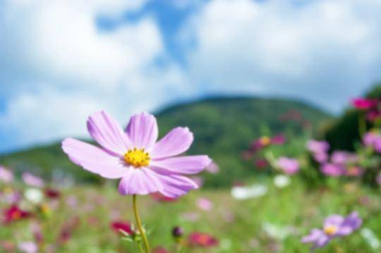 本日のお礼♡