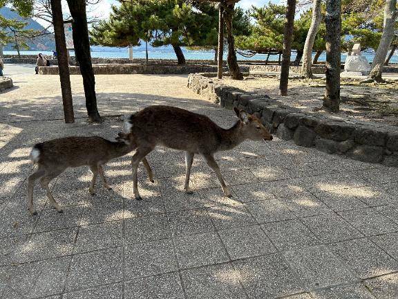 おはようございますっ