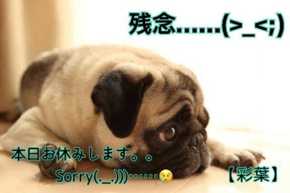 Sorry…(._.)))