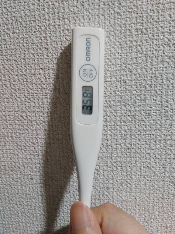 おはようございます。
