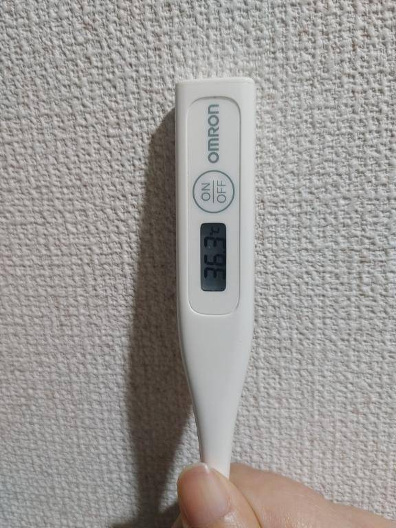 おはようございます。