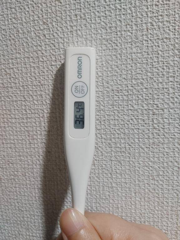 おはようございます。