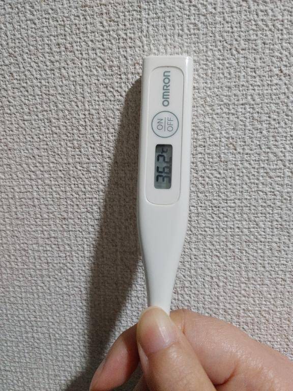 おはようございます。