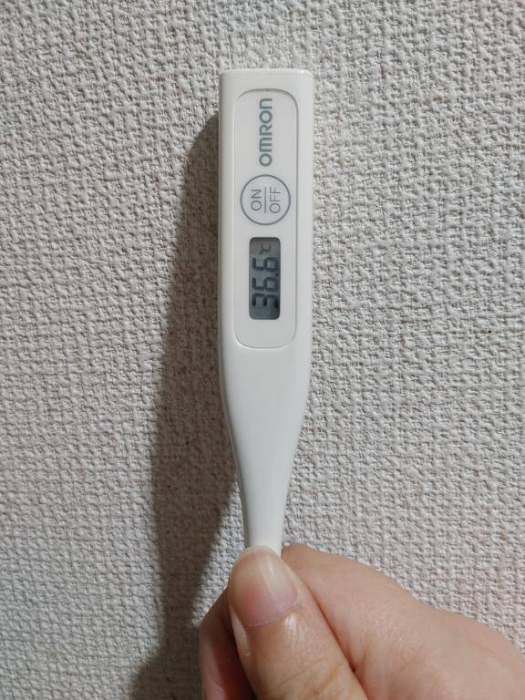 おはようございます。