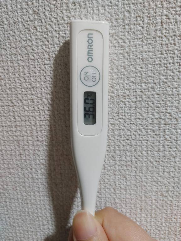 おはようございます。