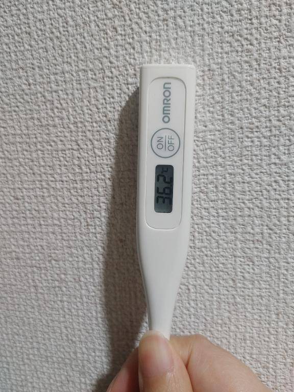 おはようございます。