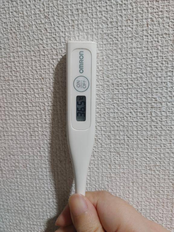 おはようございます。