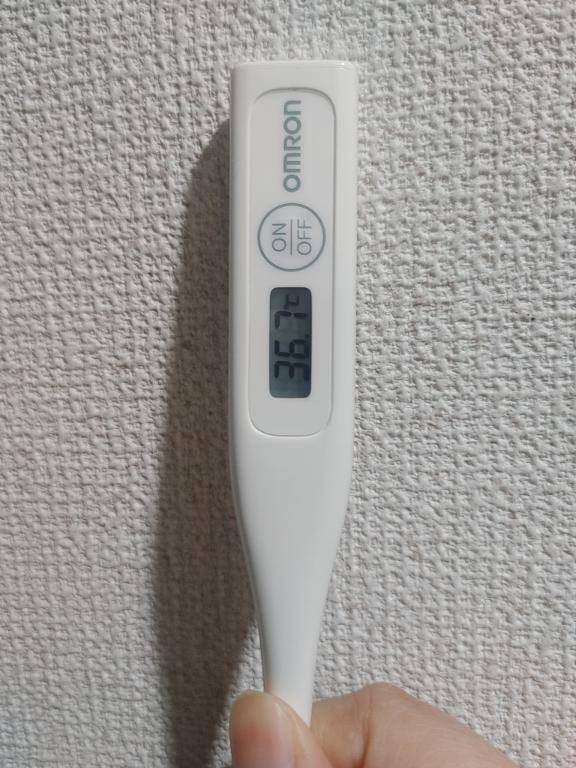 おはようございます。