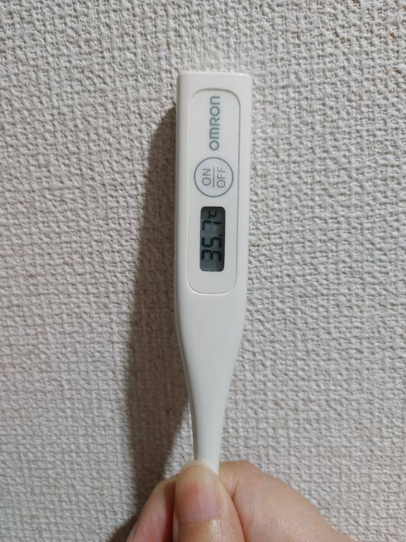 おはようございます。