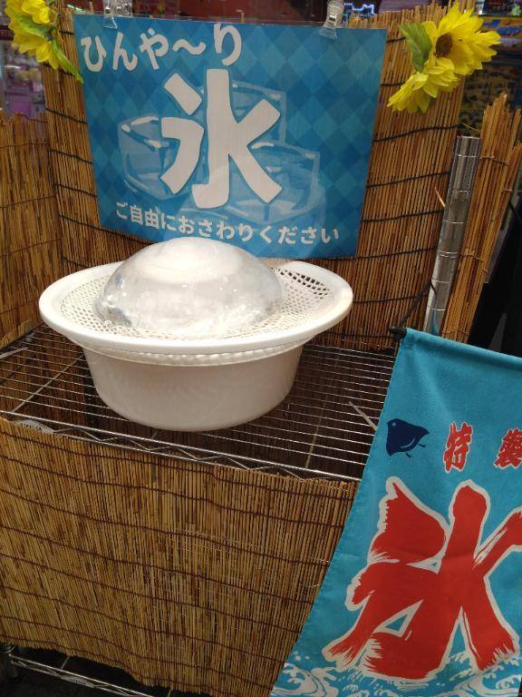 おはようございます♪