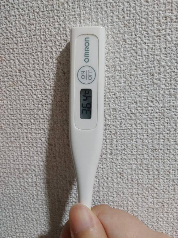 おはようございます。